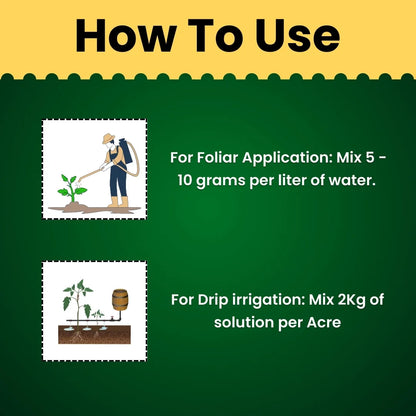 KATYAYANI TRIPLE ATTACK POWDER | VERTICILLIUM LECANII + BEAUVERIA BASSIANA + METARHIZIUM ANISOPLIAE | BIO PESTICIDE 