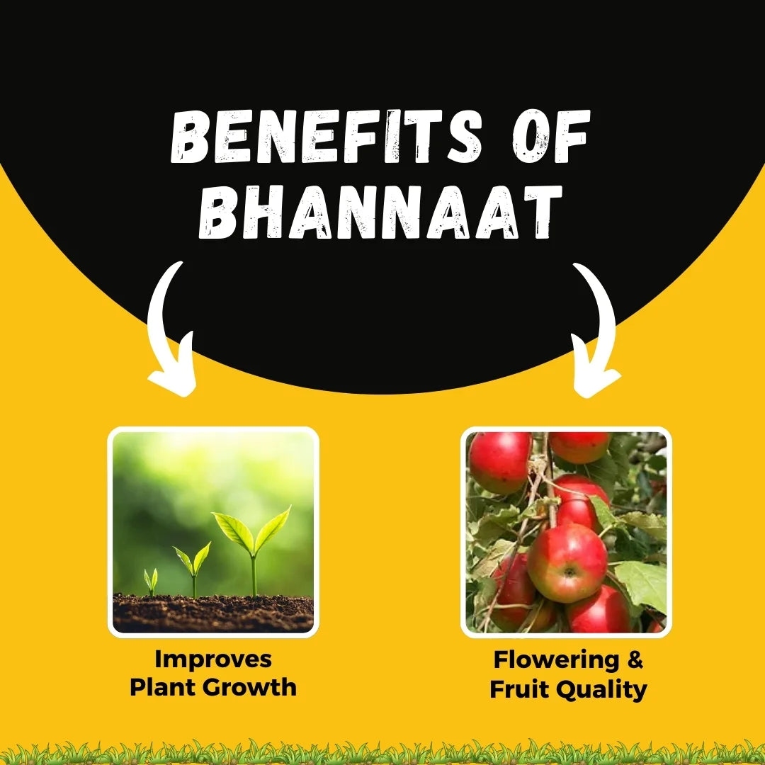 Katyayani Bhannaat | Biostimulant Plant Growth Regulator | Enhance Yield & Stress Resistance 