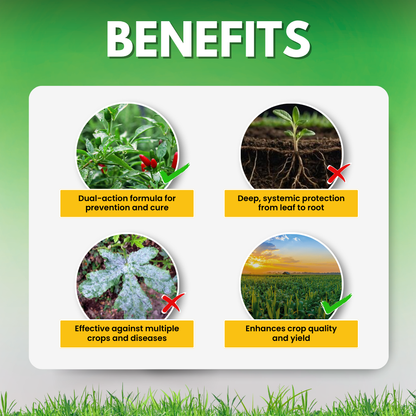 Katyayani PlantoVeer – Tebuconazole 50% + Trifloxystrobin 25% WG Dual-Action Systemic Fungicide 