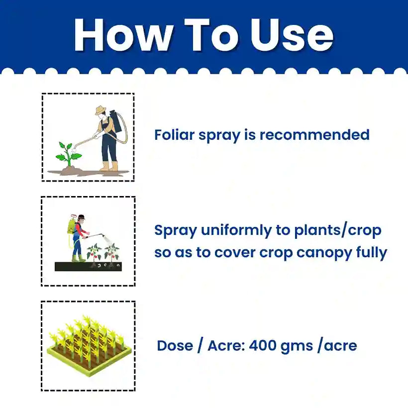 Copper Sulphate Fungicide Dose