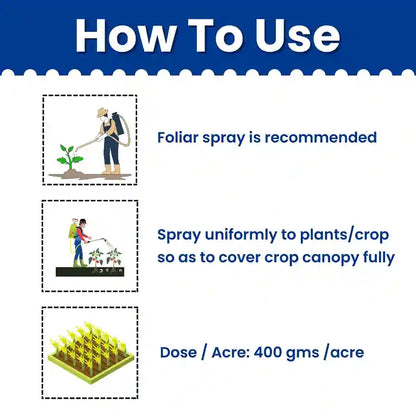 Copper Sulphate Fungicide Dose