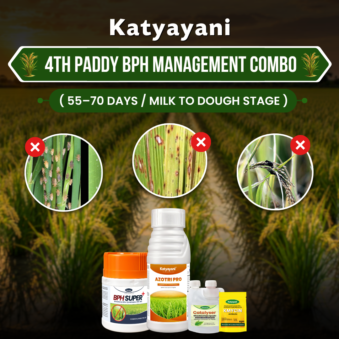 Paddy 4th Spray BPH Management Combo (55–70 Days / Milk to Dough Stage) 