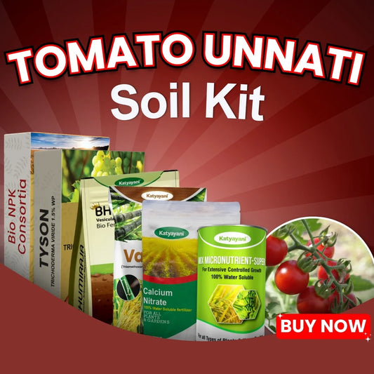 Katyayani Tomato Unnati Soil Kit - plant immunity