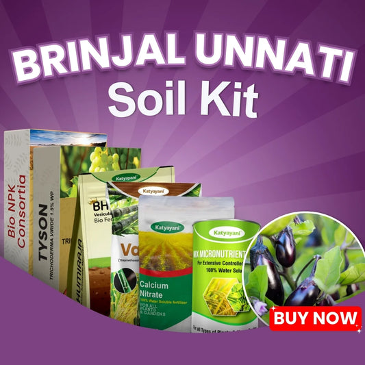 Katyayani Brinjal Unnati Soil Kit - Soil Fertility