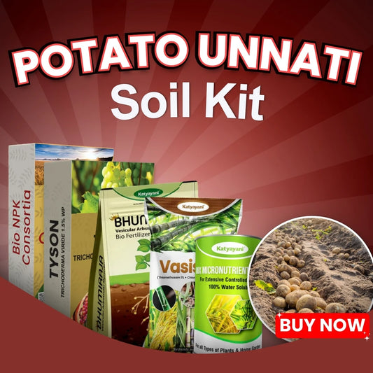 Katyayani Potato Unnati Soil Kit - Enhance Nutrient Absorption, Stronger Roots