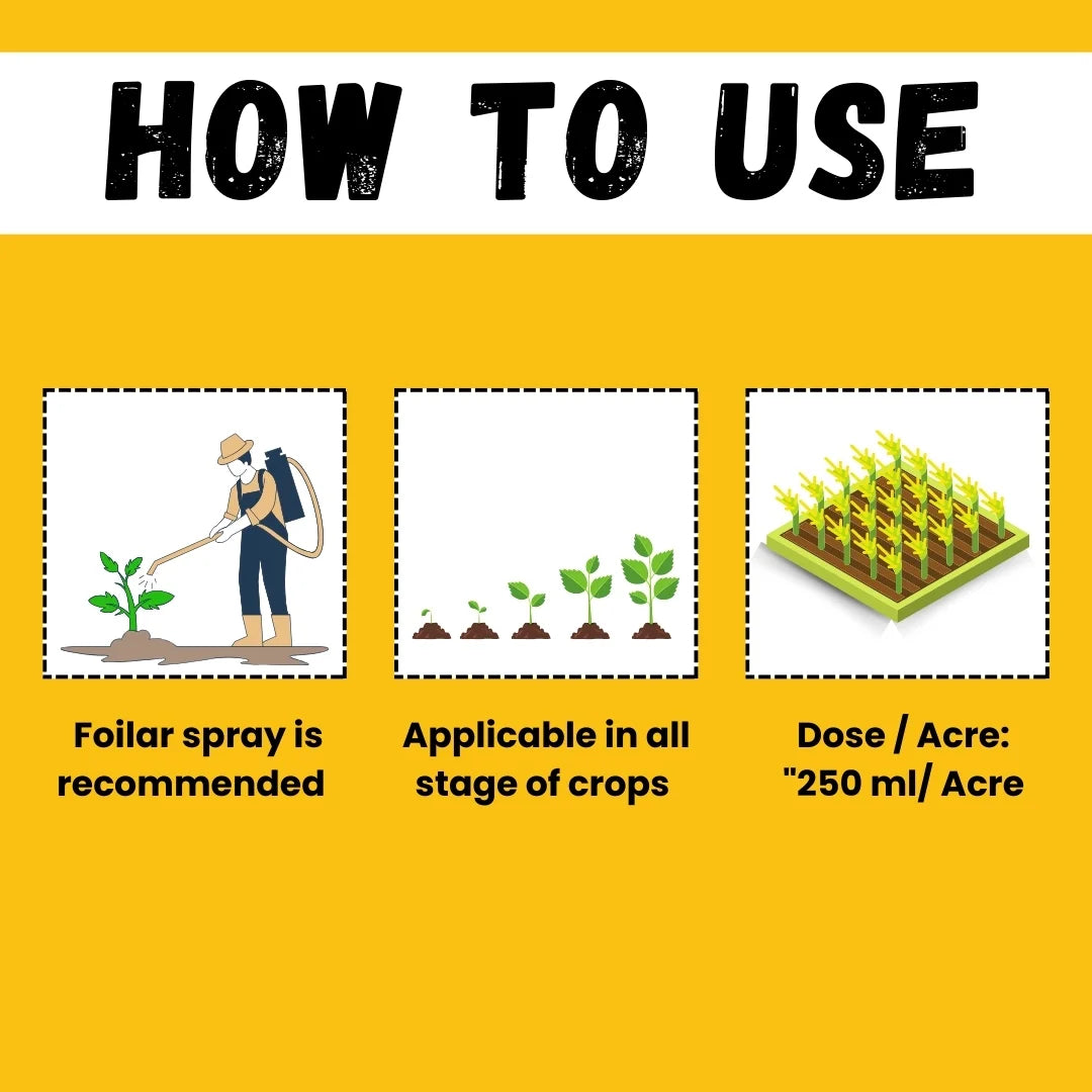 Katyayani Bhannaat | Biostimulant Plant Growth Regulator | Enhance Yield & Stress Resistance 