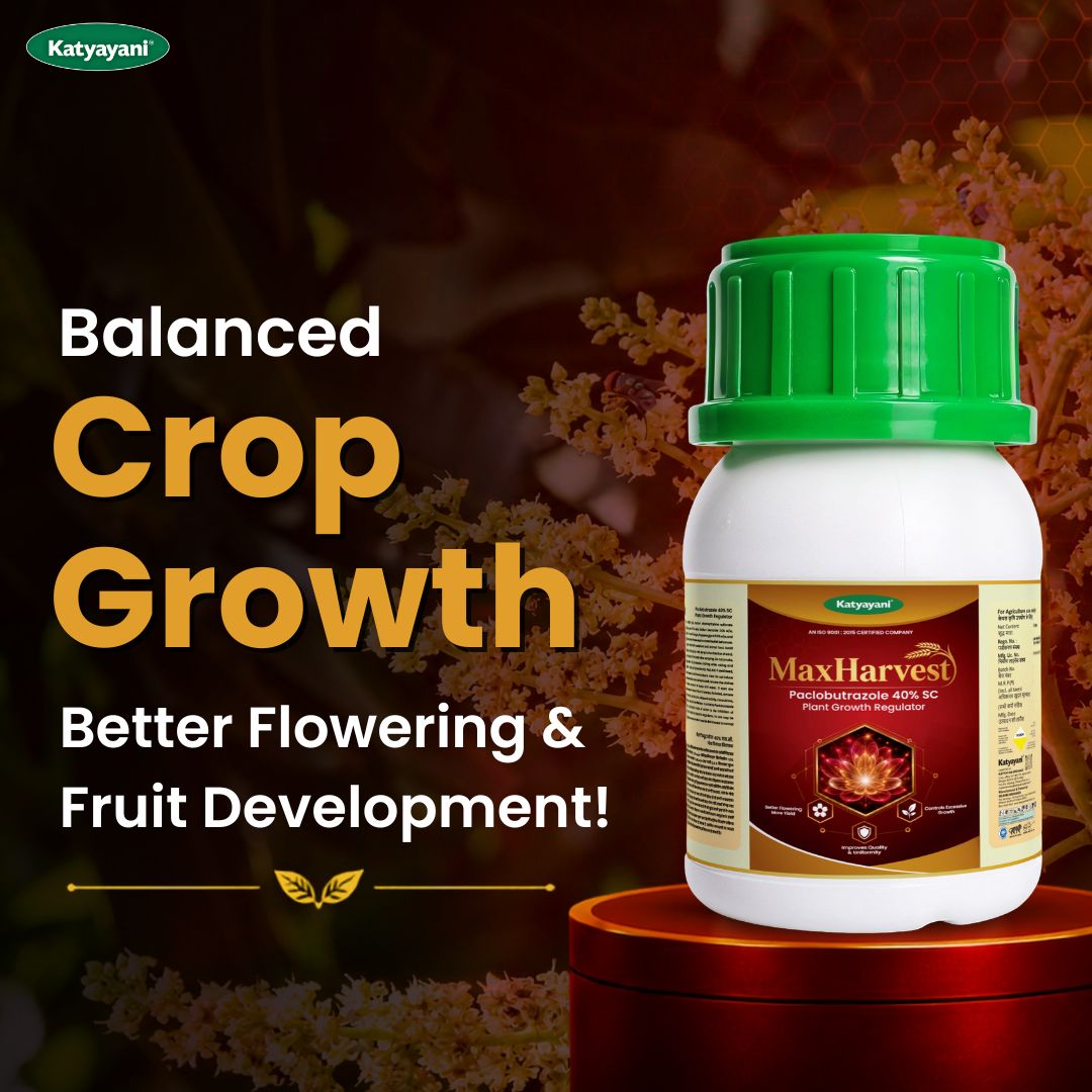 Katyayani MaxHarvest | Paclobutrazol 40% SC | Plant Growth Regulator 