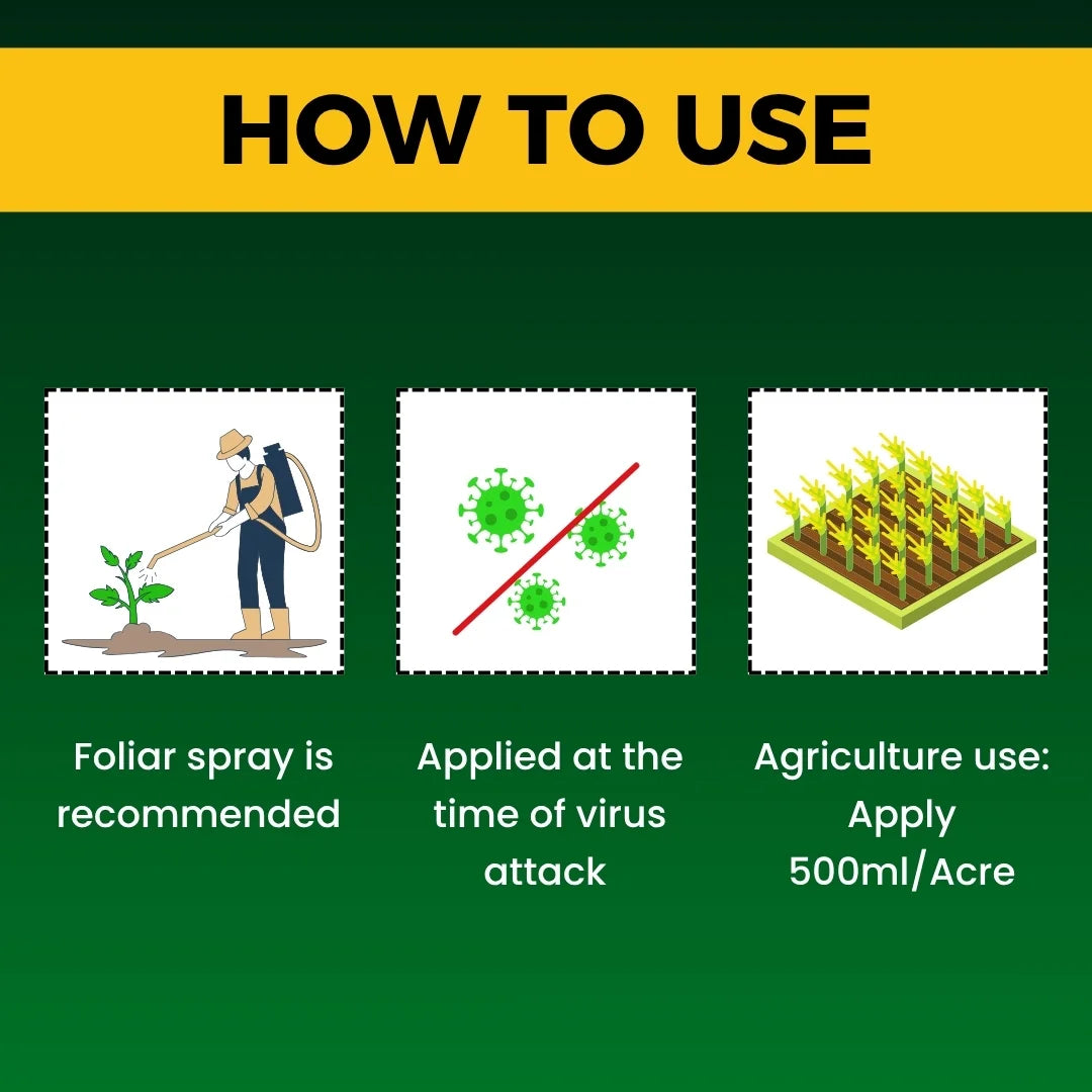 Katyayani Antivirus Viricide | Special for Chilli, Tomato & Brinjal | No Virus Insecticide 