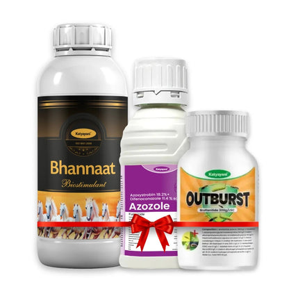 Katyayani All Vegetable Kit 