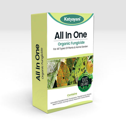 Ayollar mushuklarining uy qurilishi fotosuratlari Notogri burilish filmidan jinsiy aloqa sahnalari