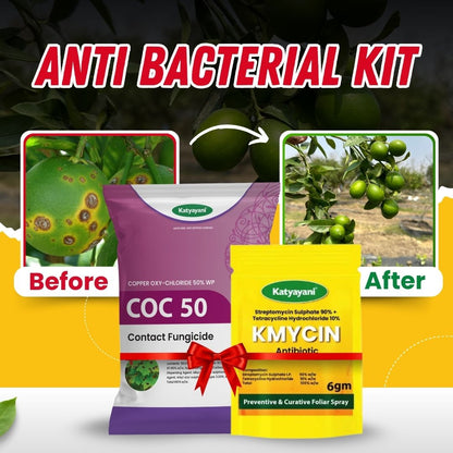 Katyayani Anti Bacterial Kit (KMYCIN (6 GM x 2) + COC 50 (500 GM) 