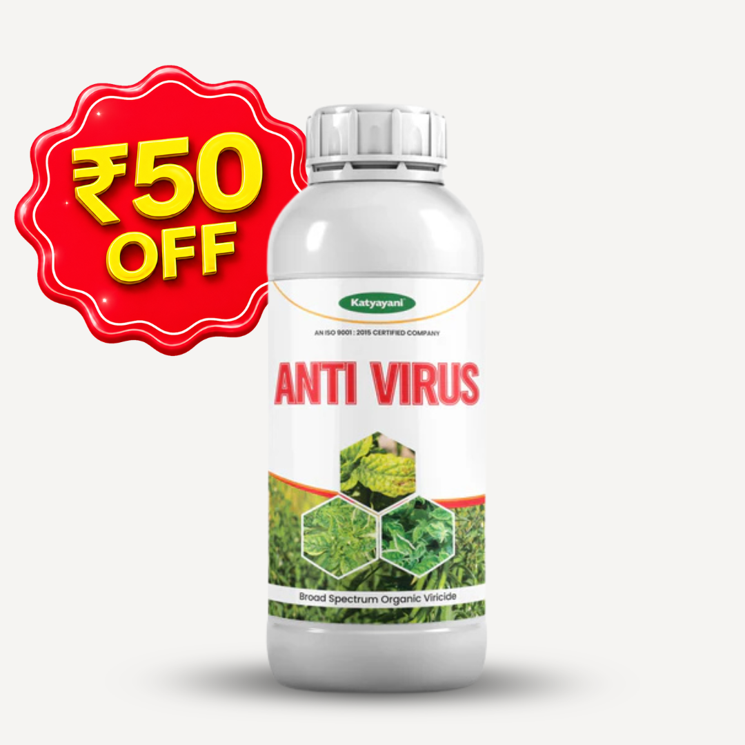 Katyayani Antivirus Viricide | Special for Chilli, Tomato & Brinjal | No Virus Insecticide 
