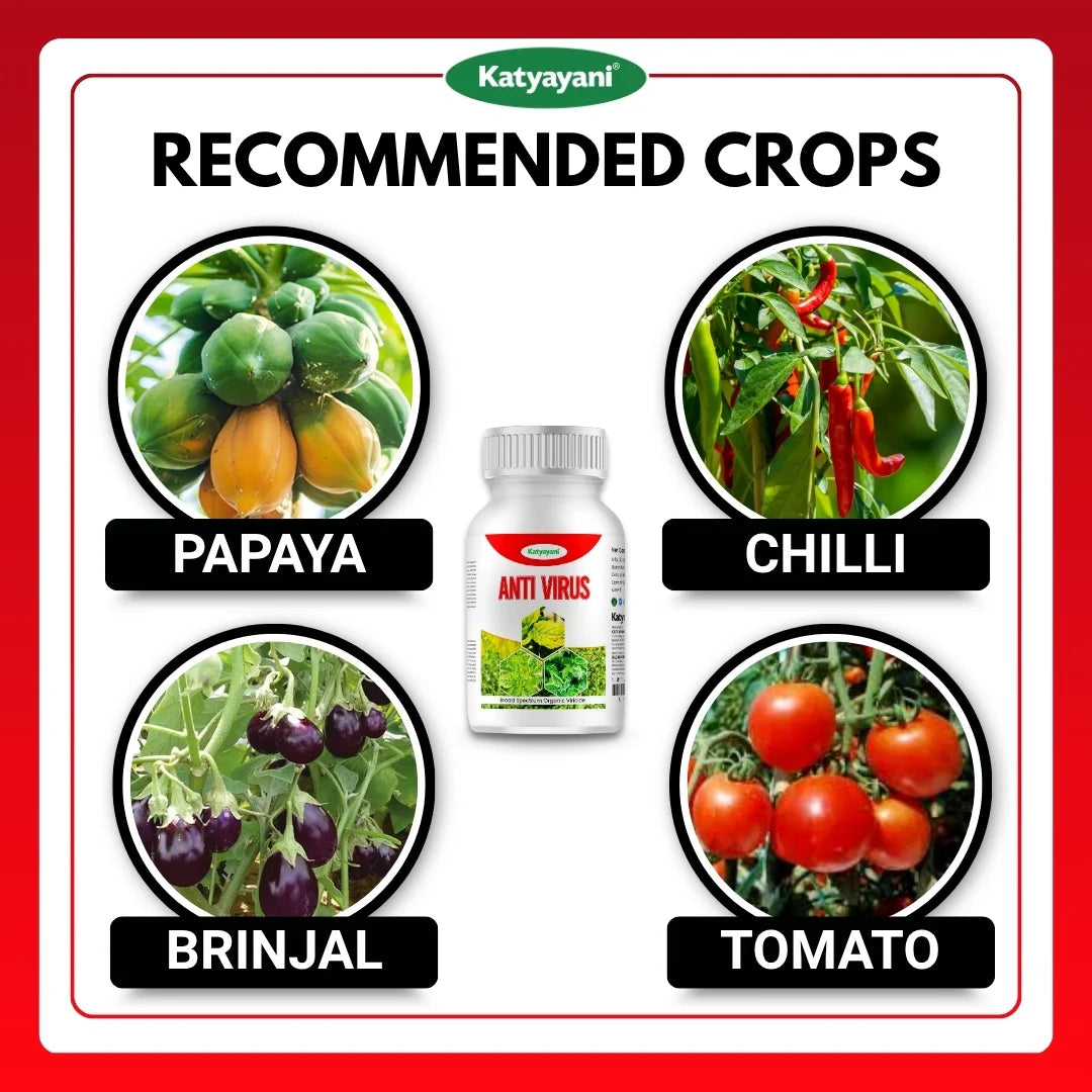Katyayani Antivirus Viricide | Special for Chilli, Tomato & Brinjal | No Virus Insecticide 