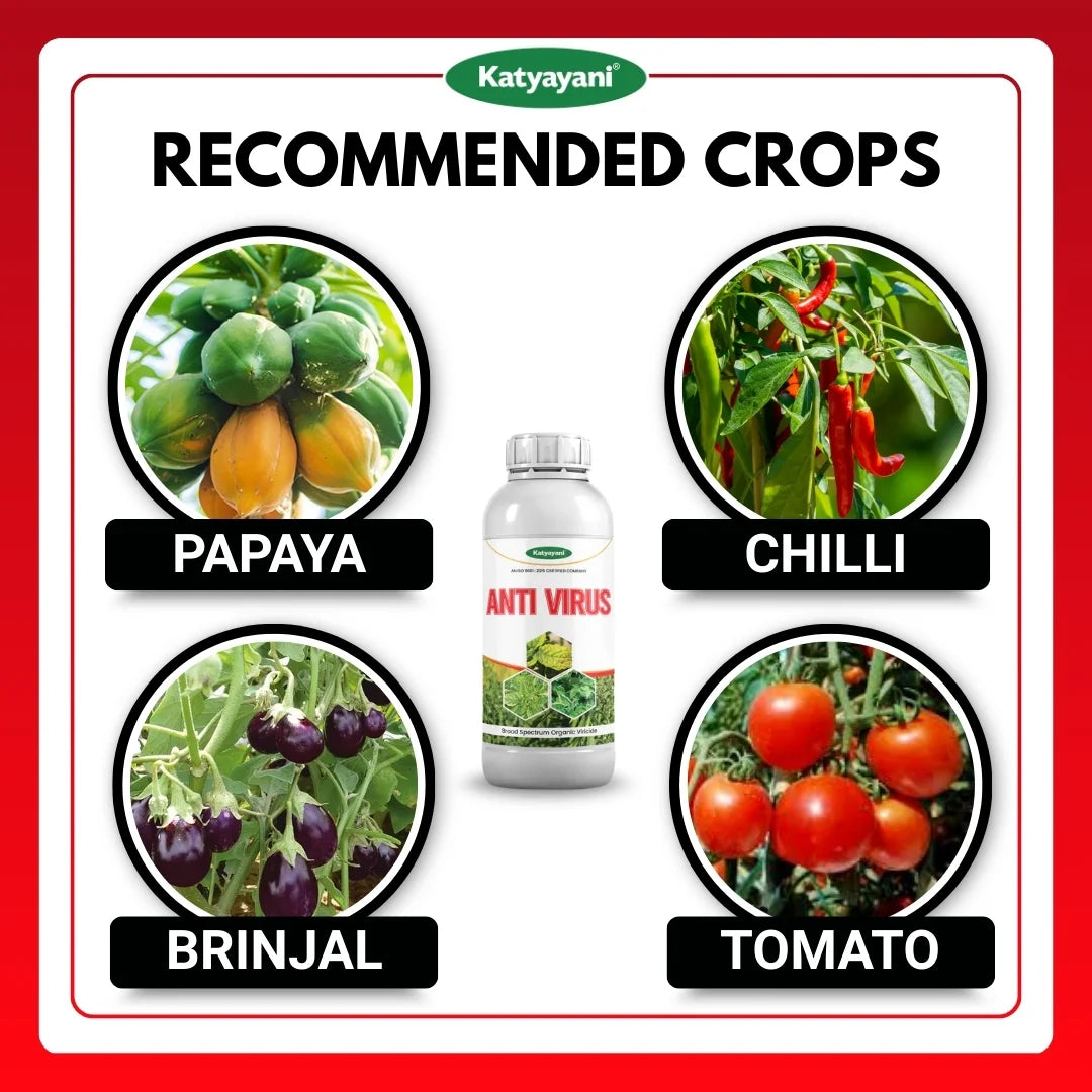 Katyayani Antivirus Viricide | Special for Chilli, Tomato & Brinjal | No Virus Insecticide 