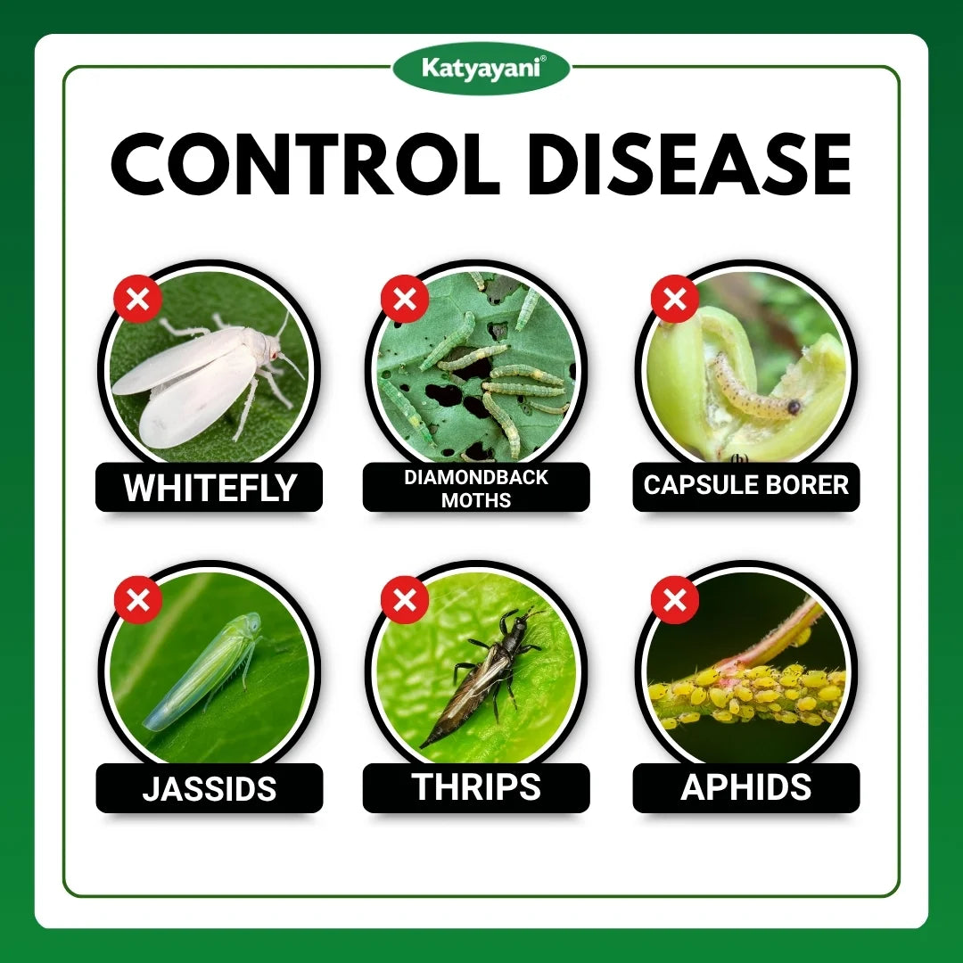 Katyayani Ashwamedh | Diafenthiuron 50% WP | Chemical Insecticide 