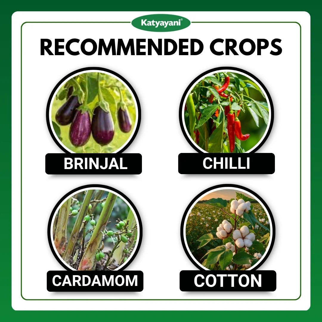 Katyayani Ashwamedh | Diafenthiuron 50% WP | Chemical Insecticide 