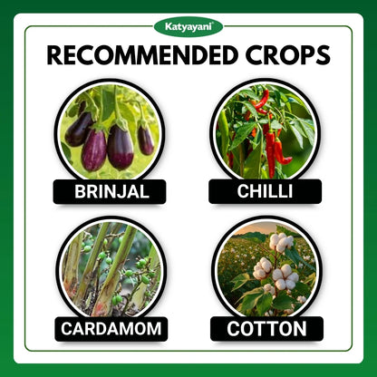 Katyayani Ashwamedh | Diafenthiuron 50% WP | Chemical Insecticide 