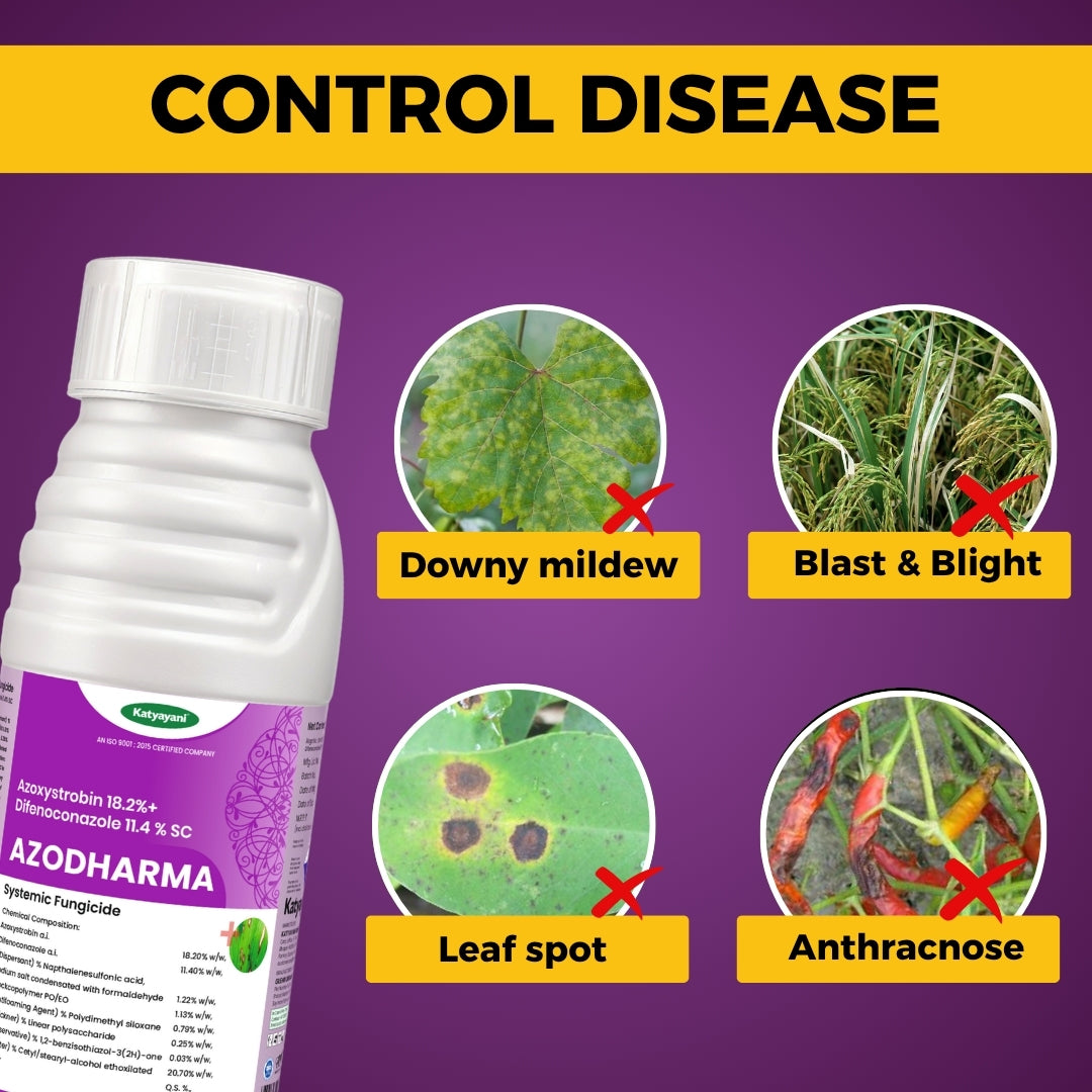 Katyayani Azodharma | Azoxystrobin 18.2% + Difenoconazole 11.4% SC | Broad- Spectrum Fungicide 
