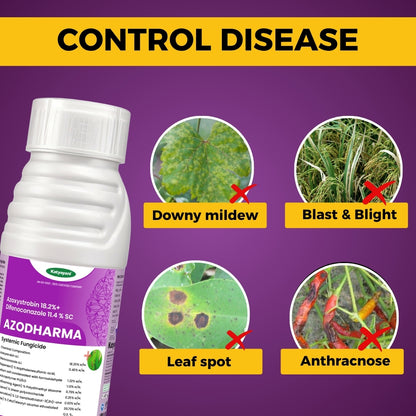 Katyayani Azodharma | Azoxystrobin 18.2% + Difenoconazole 11.4% SC | Broad- Spectrum Fungicide 