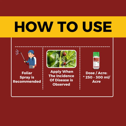 Katyayani Dr. Zole  Azoxystrobin 11% + Tebuconazole 18.3% SC Chemical Fungicide dose per liter
