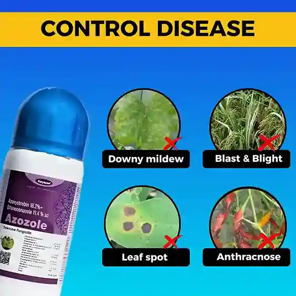 Katyayani Azozole | Azoxystrobin 18.2% + Difenoconazole 11.4% SC | Chemical Fungicide for blast & Blight