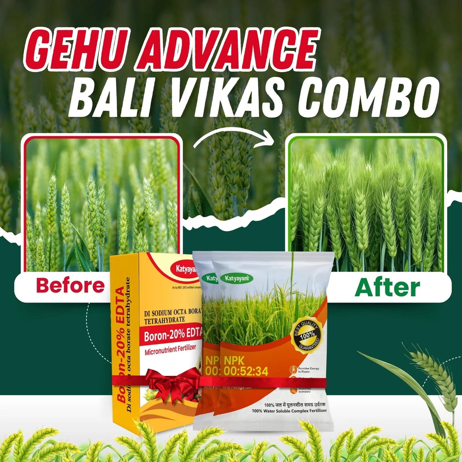 Katyayani Gehu Advance Bali Vikas combo