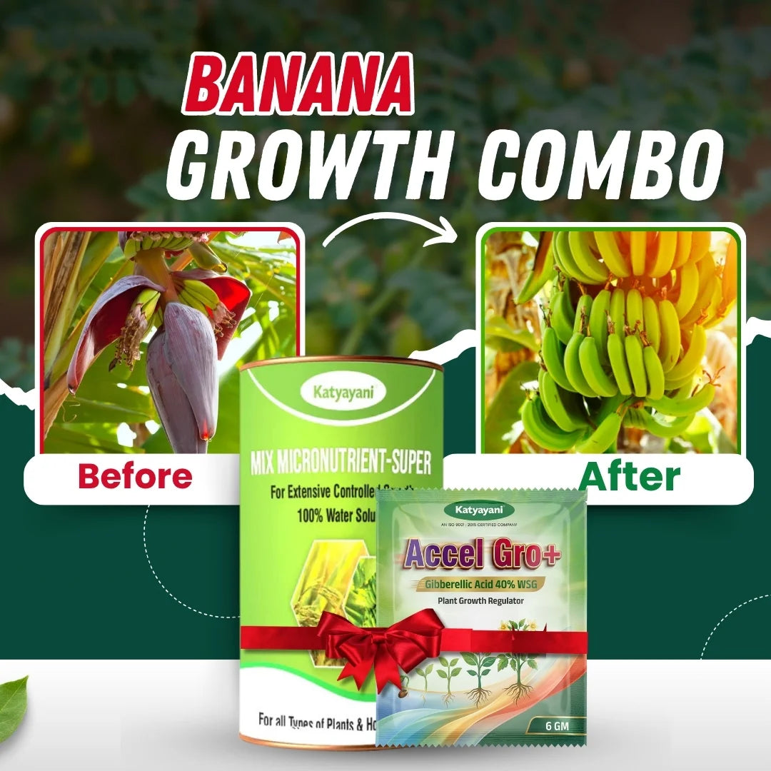 Katyayani Banana growth combo - Flowering and Fruiting Fertilizer