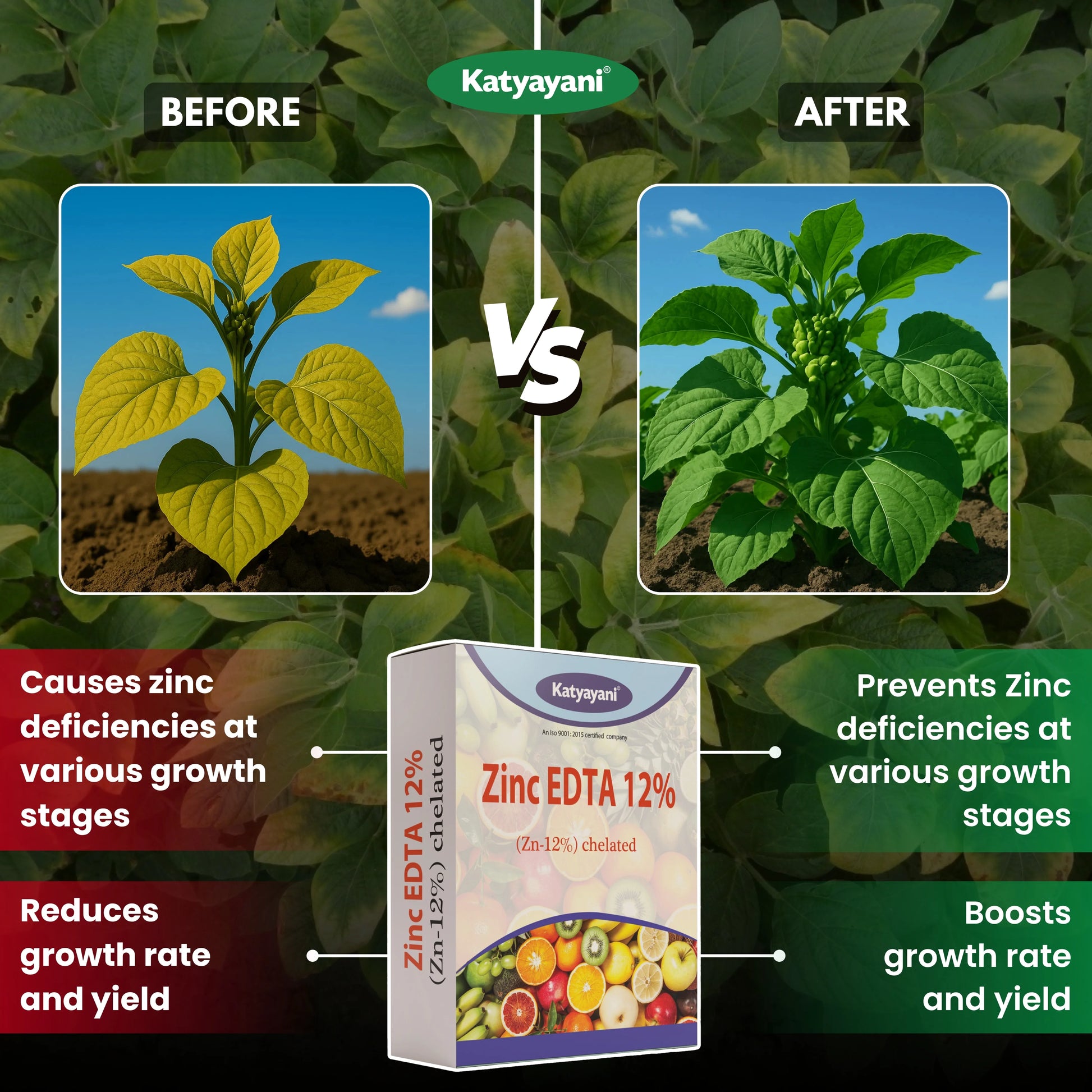 Katyayani Zinc EDTA 12% Fertilizer | Soil Activator and Fertilizer for Crops 