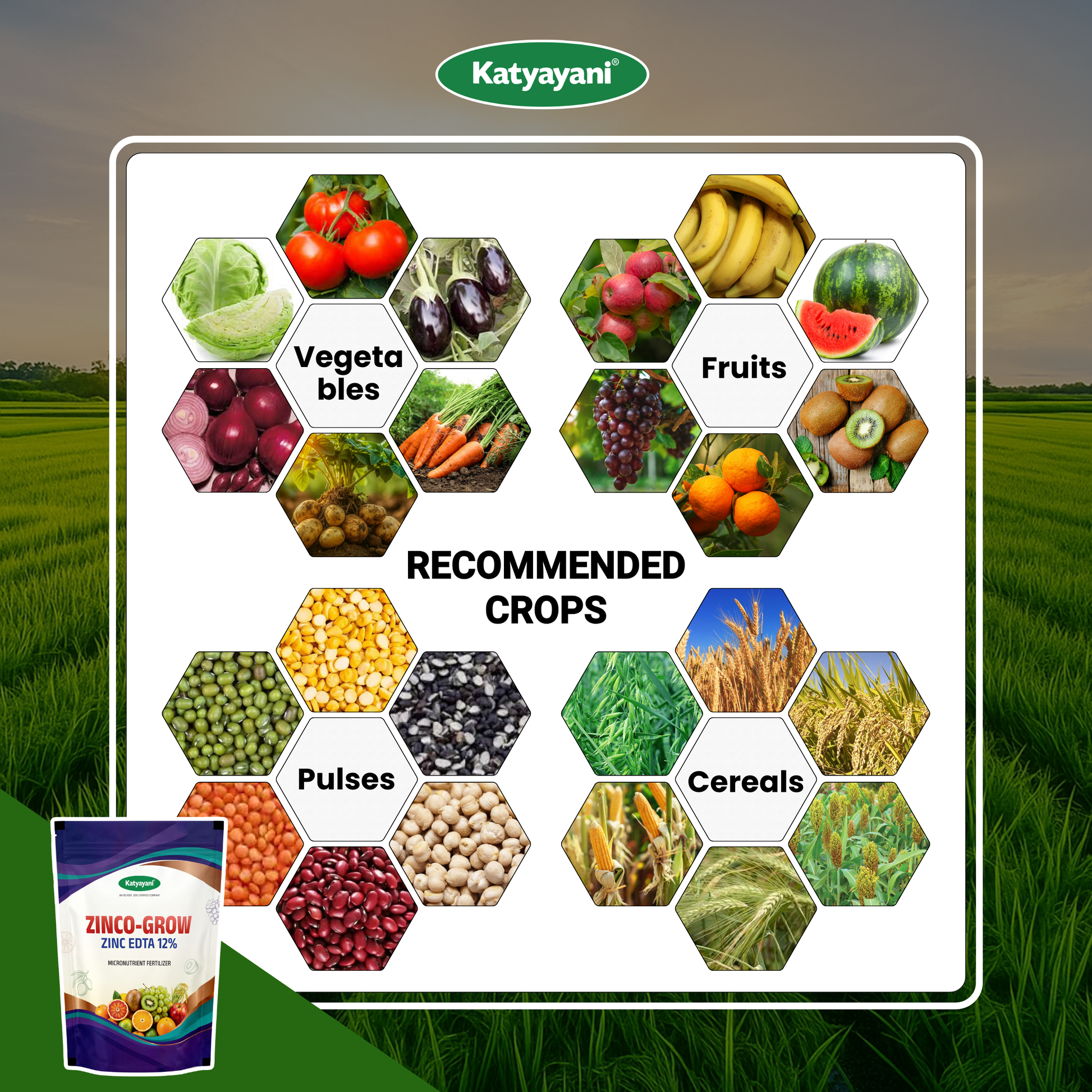 Katyayani Zinco Grow (Zinc EDTA 12%) Fertilizer | Soil Activator and Fertilizer for Crops 