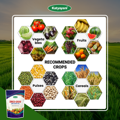 Katyayani Zinco Grow (Zinc EDTA 12%) Fertilizer | Soil Activator and Fertilizer for Crops 