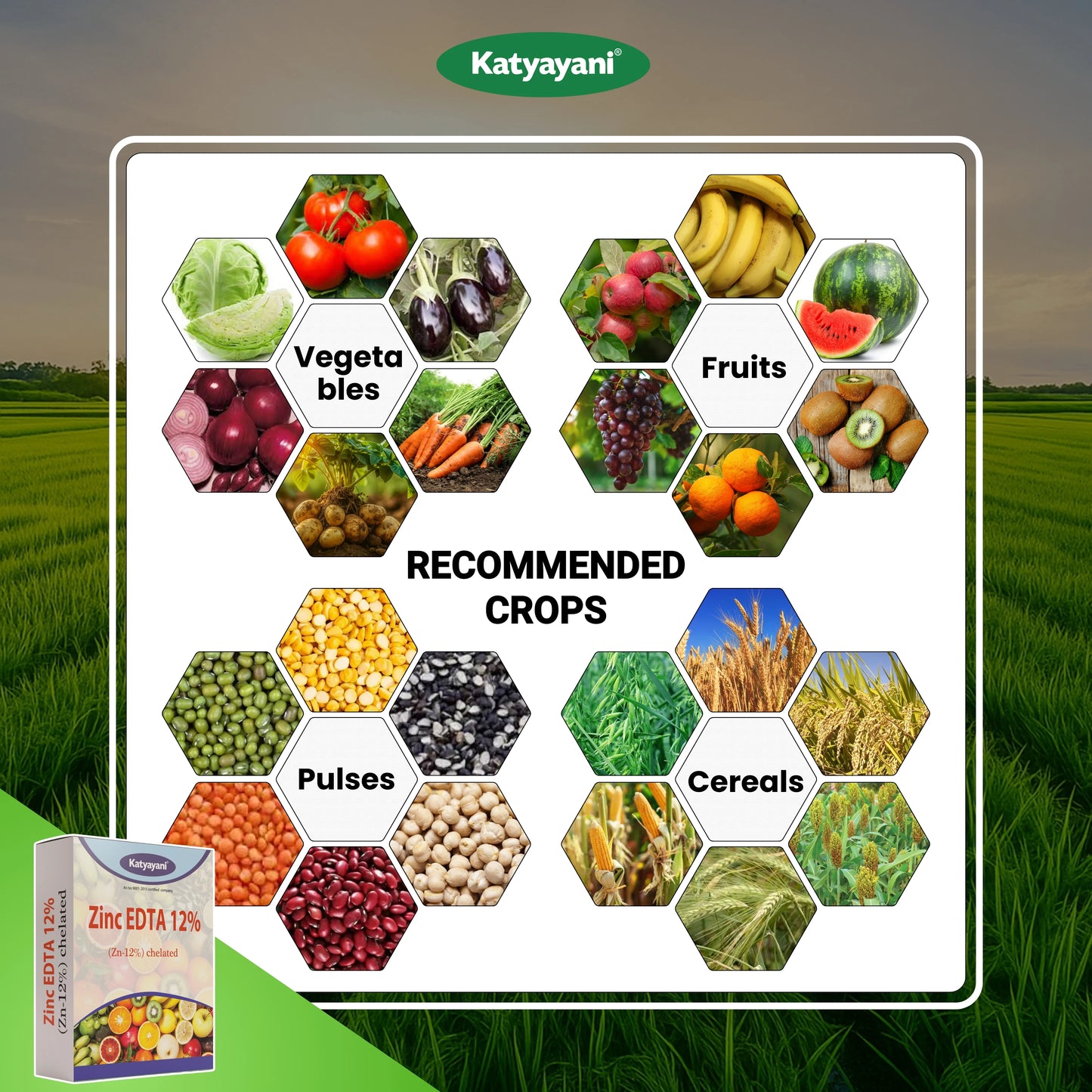 Katyayani Zinc EDTA 12% Fertilizer | Soil Activator and Fertilizer for Crops 