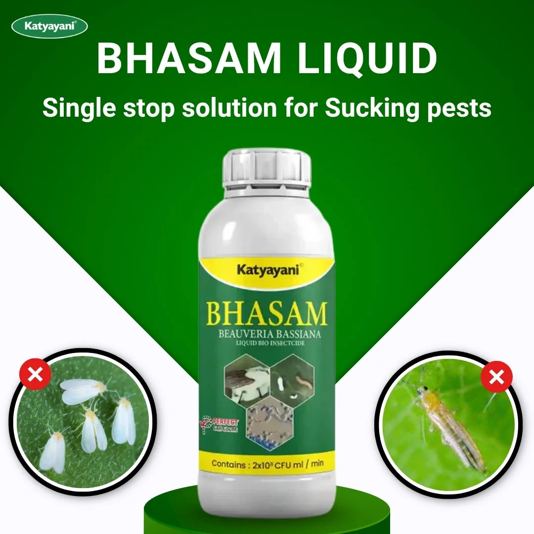 Katyayani Bhasam Liquid | Beauveria Bassiana Bio pesticide 