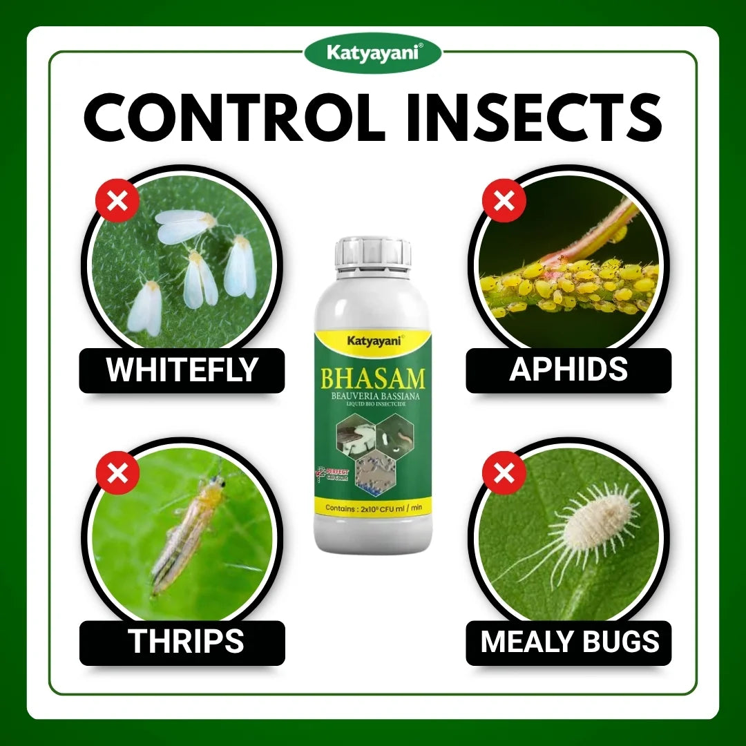 Katyayani Bhasam Liquid | Beauveria Bassiana Bio pesticide 