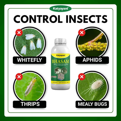 Katyayani Bhasam Liquid | Beauveria Bassiana Bio pesticide 