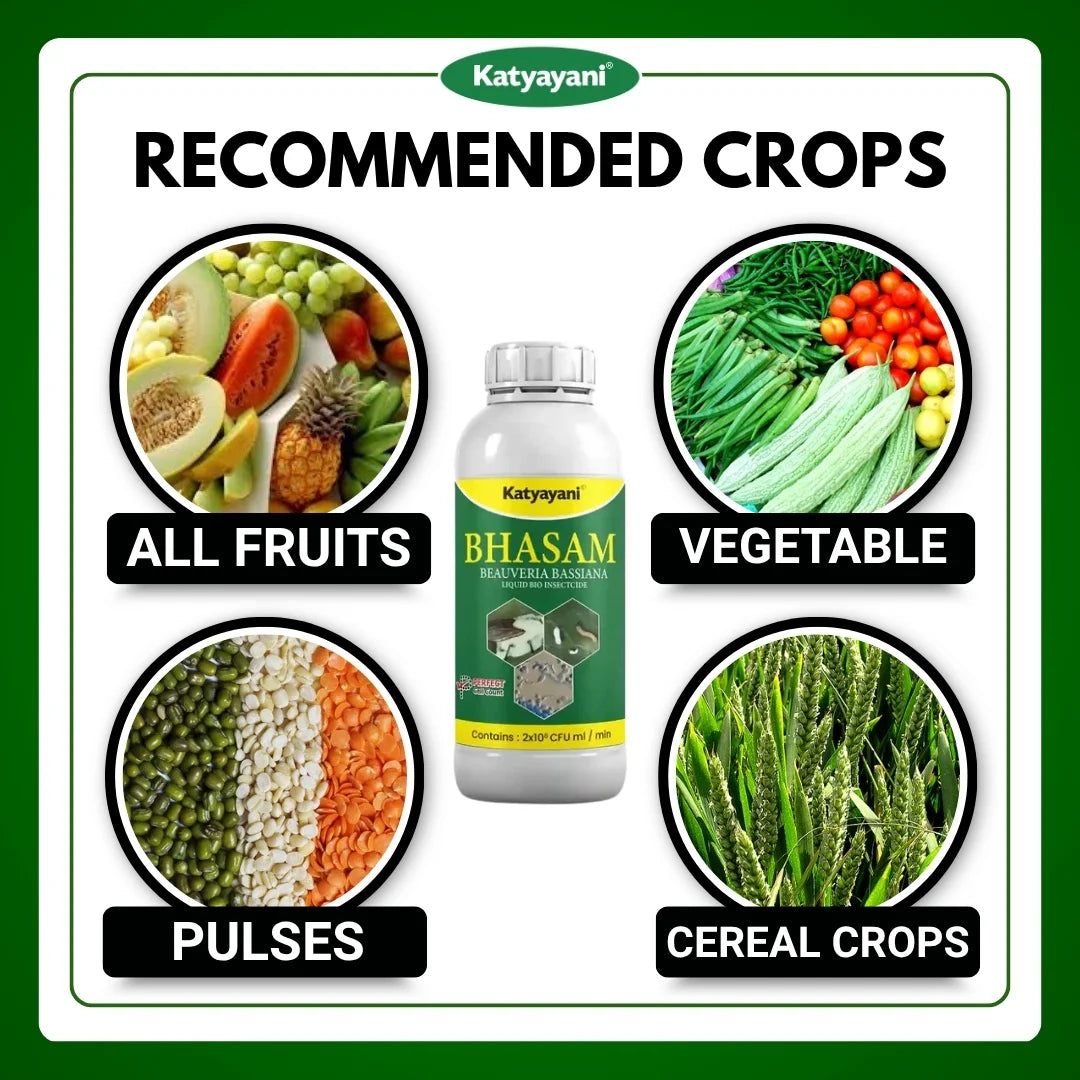 Katyayani Bhasam Liquid | Beauveria Bassiana Bio pesticide 