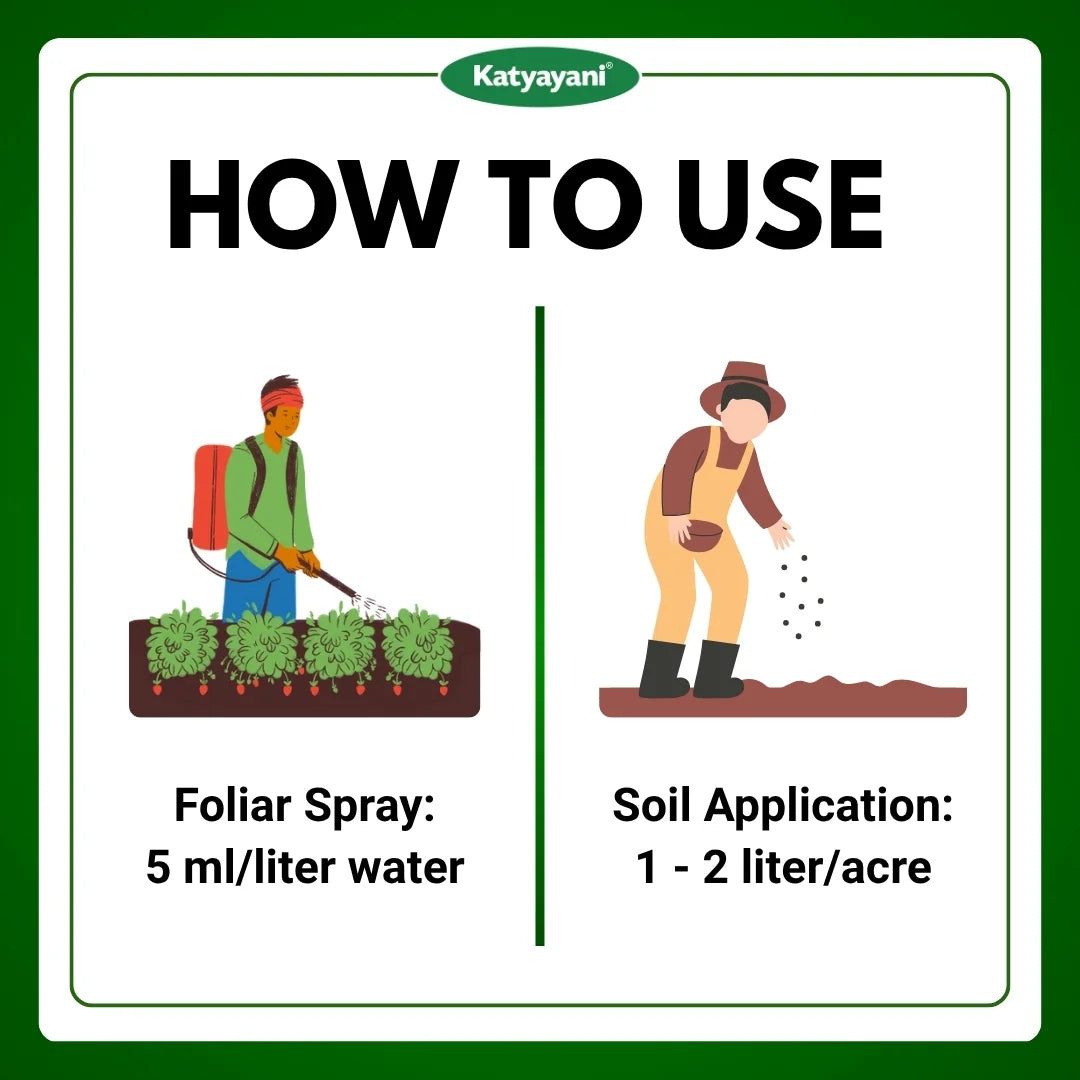 Katyayani Bhasam Liquid | Beauveria Bassiana Bio pesticide 