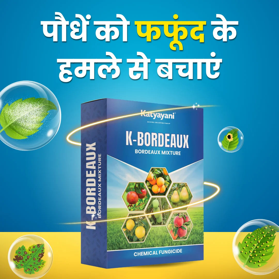 Katyayani K-Bordeaux Mixture | Chemical Fungicide | Control Fungal and Bacterial Disease 