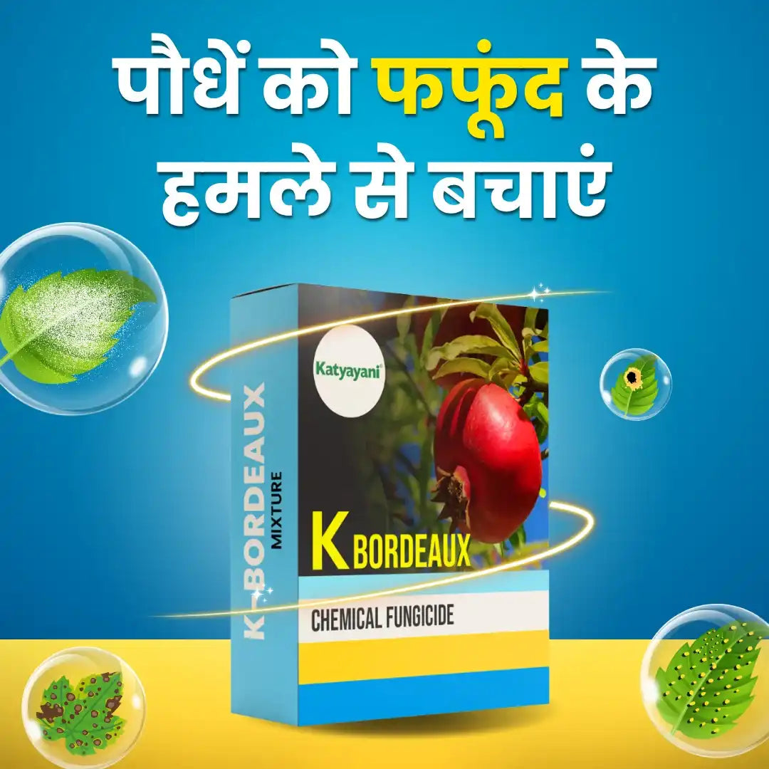 Buy Katyayani K-Bordeaux Mixture Fungicide Online
