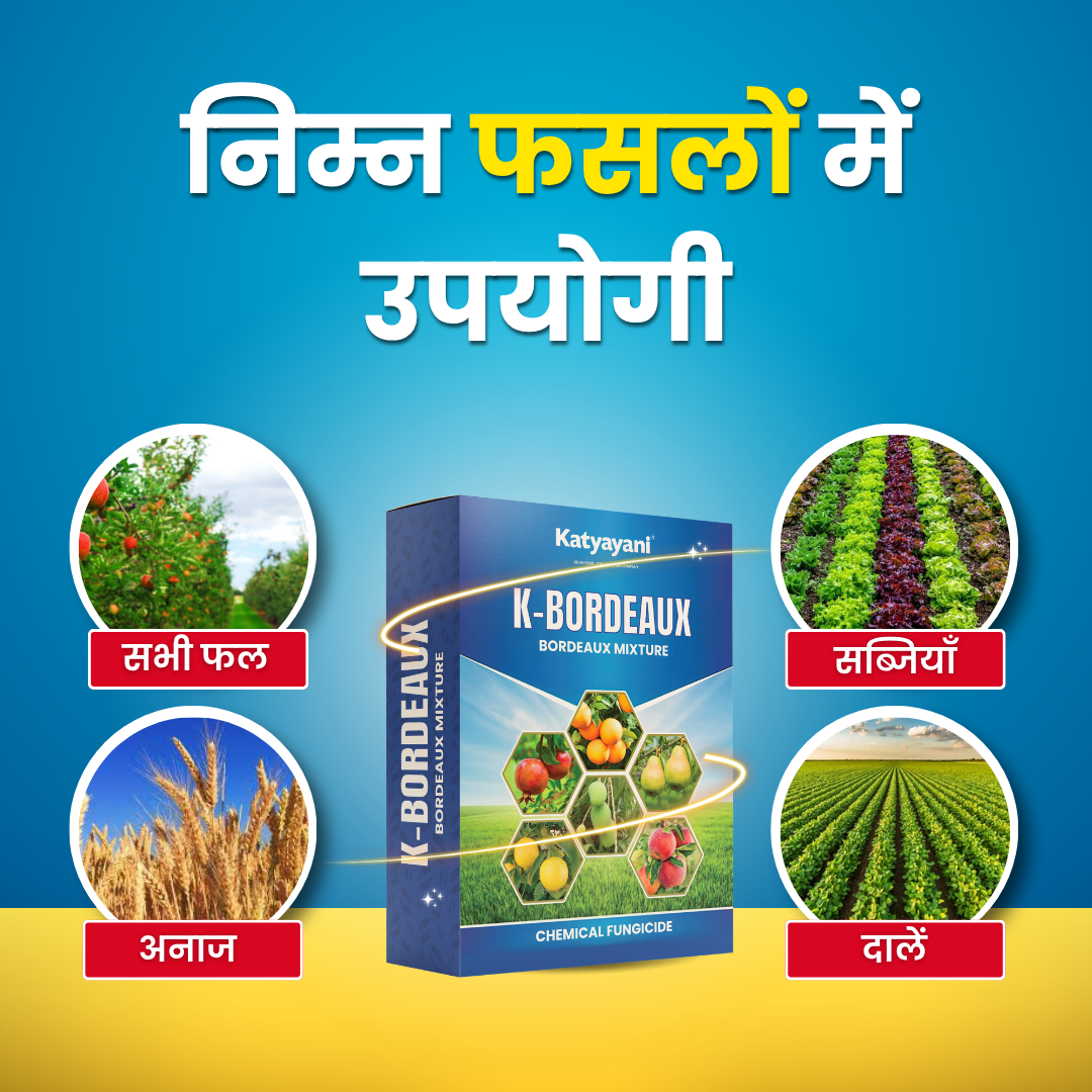Katyayani K-Bordeaux Mixture | Chemical Fungicide | Control Fungal and Bacterial Disease 
