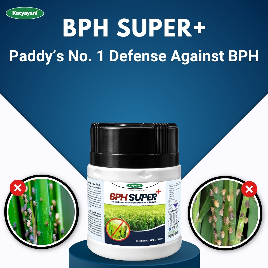 Katyayani BPH Super+ | 134Gm (1+1 Free) 