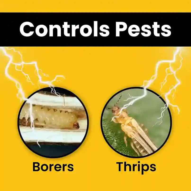 Katyayani OUTBURST | Broflanilide 300 G/L SC Insecticide for thrips & borers