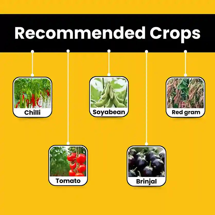 Katyayani OUTBURST | Broflanilide 300 G/L SC Insecticide for tomato, chilli soyabean crops