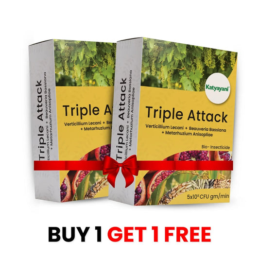 Katyayani Triple Attack | Bio Pesticide Powder 1 KG (1+1 Free) 