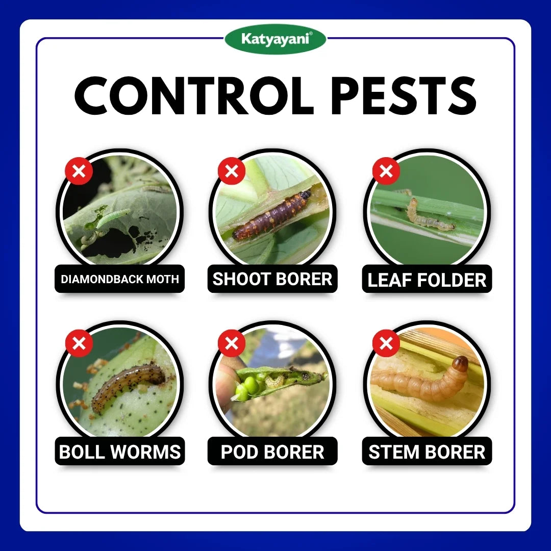 Katyayani Chakraveer | Chlorantraniliprole 18.5% SC | Chemical Insecticide (Bulk Quantity) 