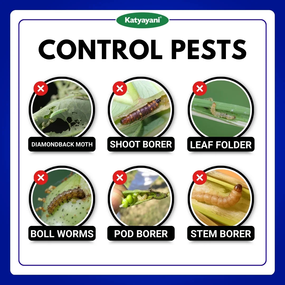 Katyayani Chakraveer Chemical Insecticide 60ml (1+1 Free) 