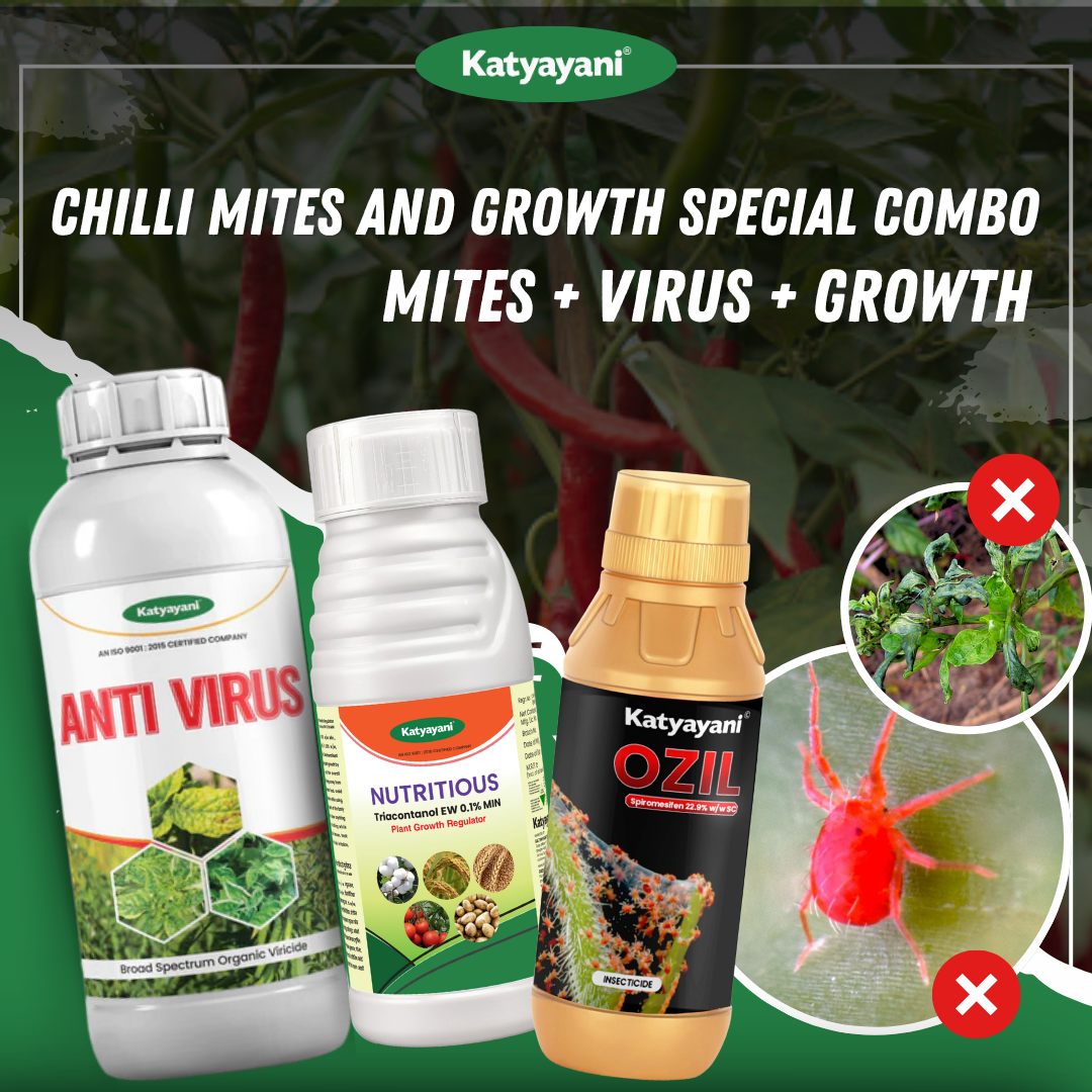Katyayani Chilli Mites and Growth Special Combo 40-60 Days (Ozil 250 ML + AntiVirus (250 ML x 2) + Nutritious 250 ML) 