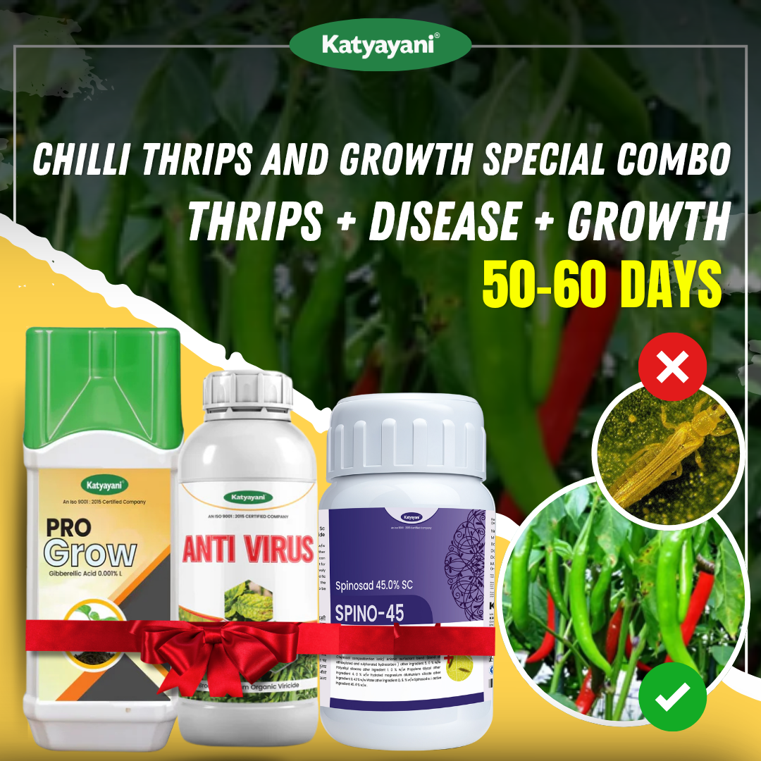 Katyayani Chilli Thrips and Growth Special Combo | 50-60 Days (Spino 45 (50 ML) + Anti Virus (250 ML x 2) + Pro Grow 250 ML) 