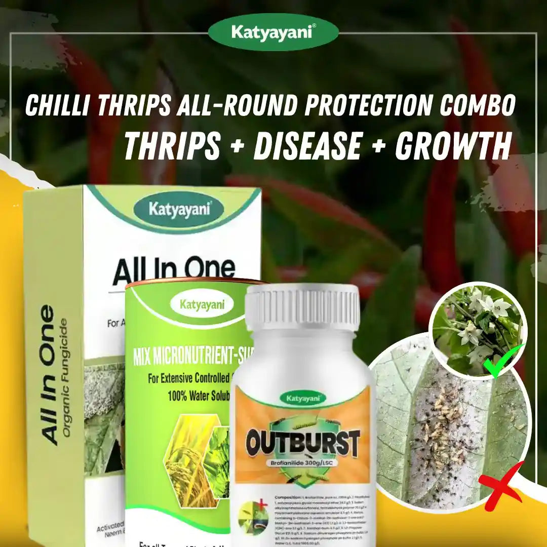 Katyayani Chilli Thrips All-Round Protection Combo