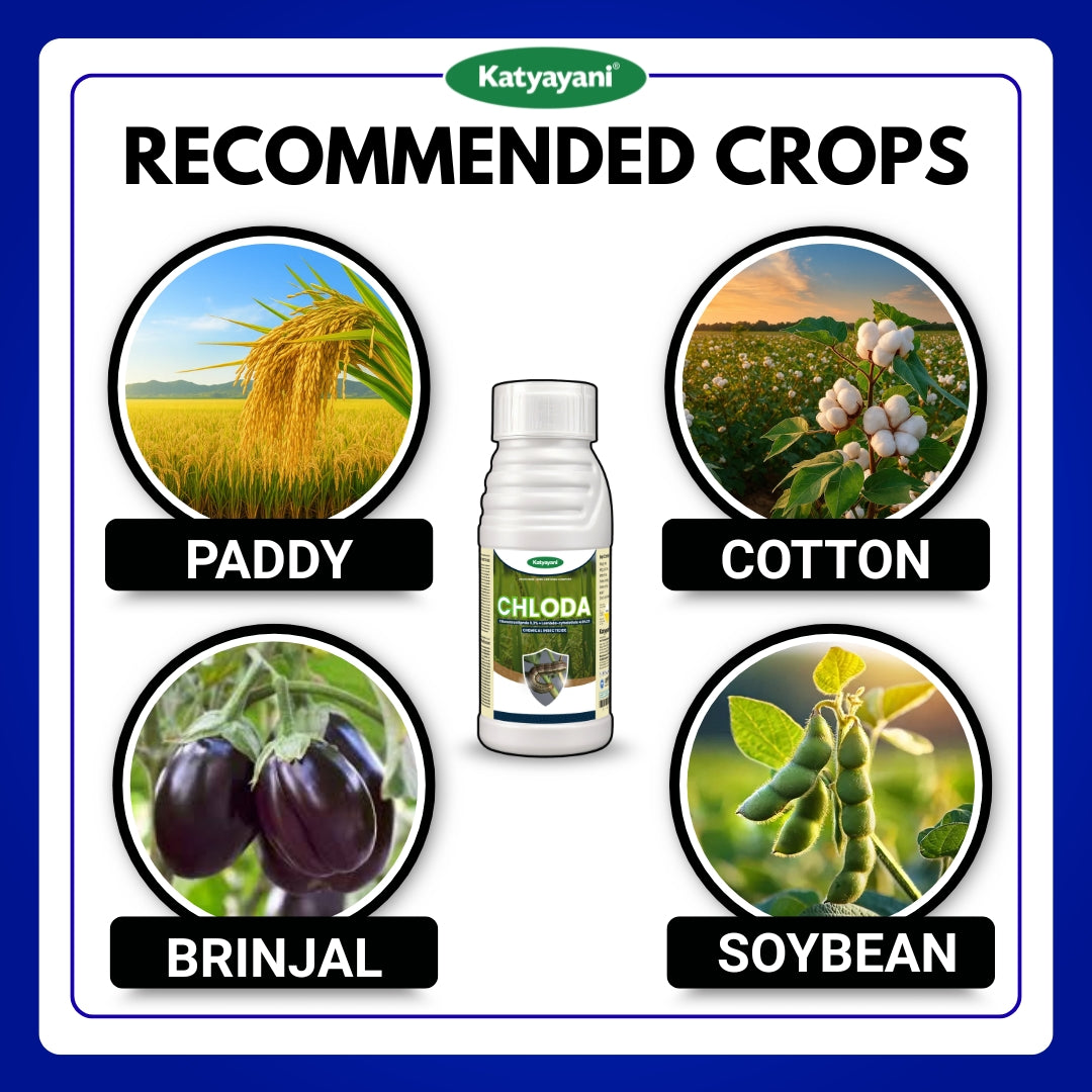 Katyayani Chloda | Chlorantraniliprole 9.3% + Lambda Cyhalothrin 4.6% ZC | Chemical insecticide 