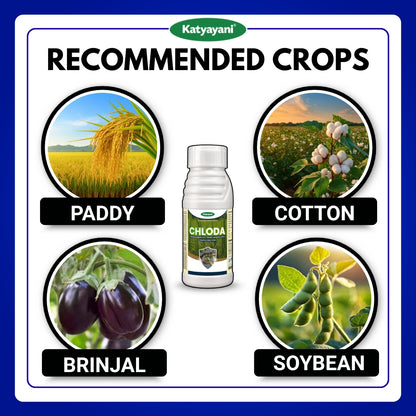 Katyayani Chloda | Chlorantraniliprole 9.3% + Lambda Cyhalothrin 4.6% ZC | Chemical insecticide 